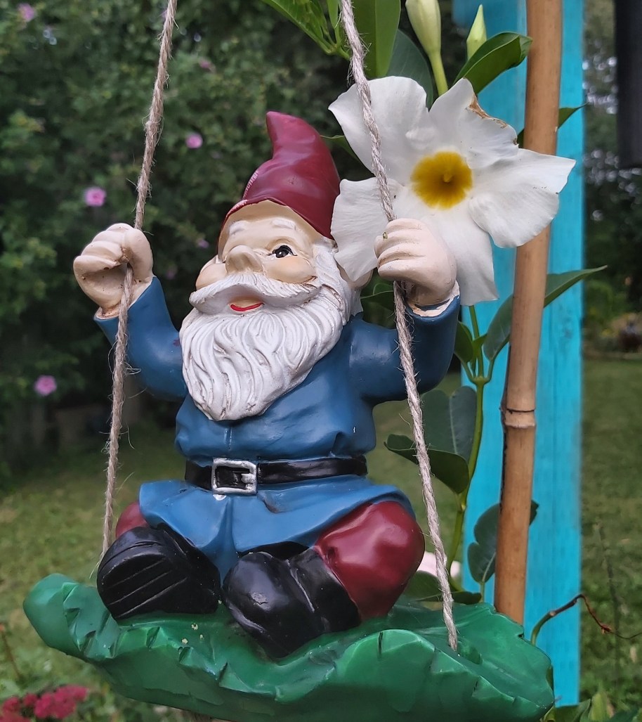 263 still blooming.jpg