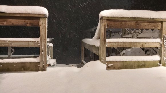 317 oh hi winter.jpg