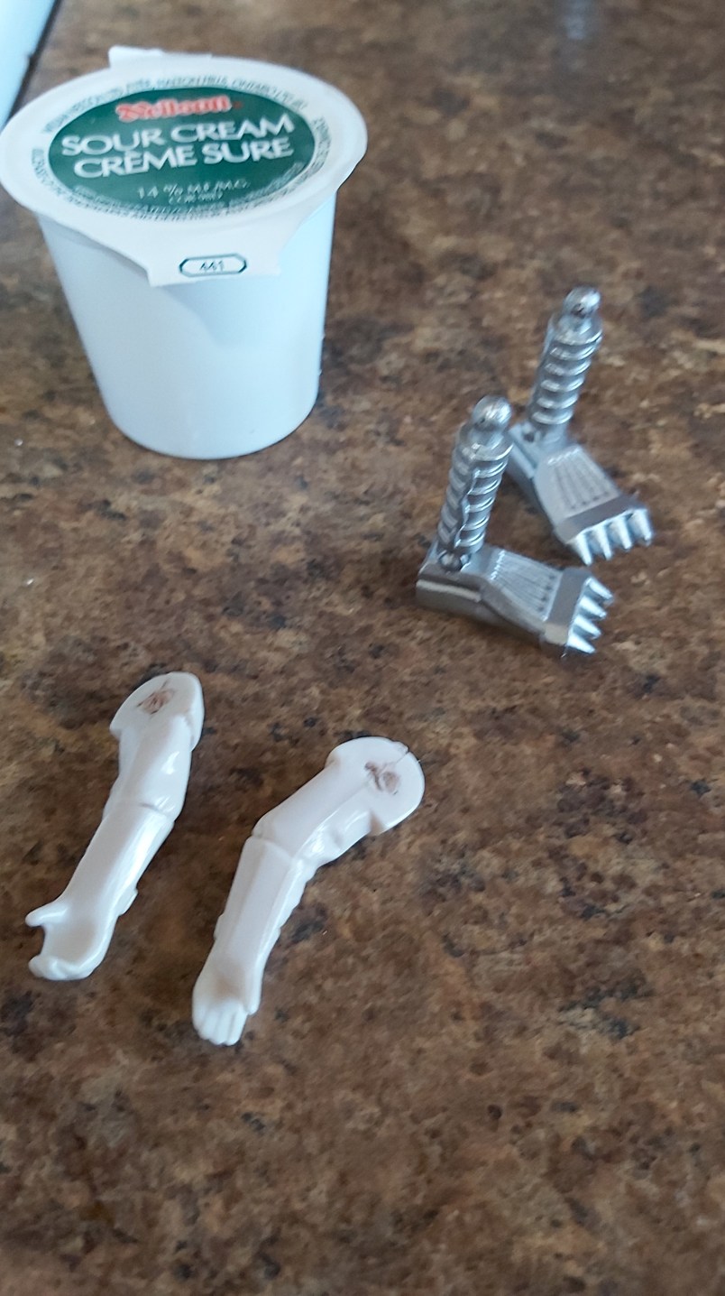 331 life on the spectrum.jpg