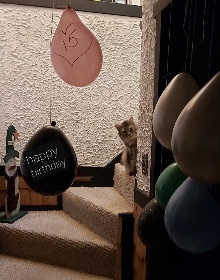 344 i hates balloons.jpg