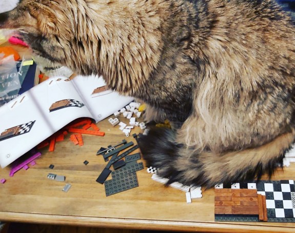 10 lego cat