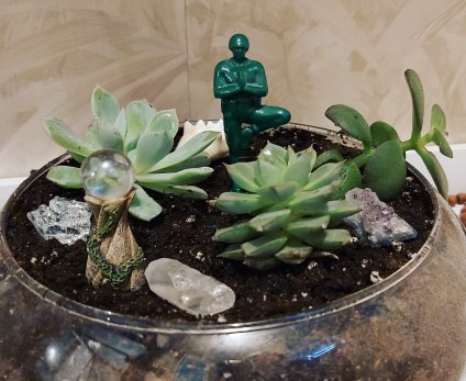7 zen succulents