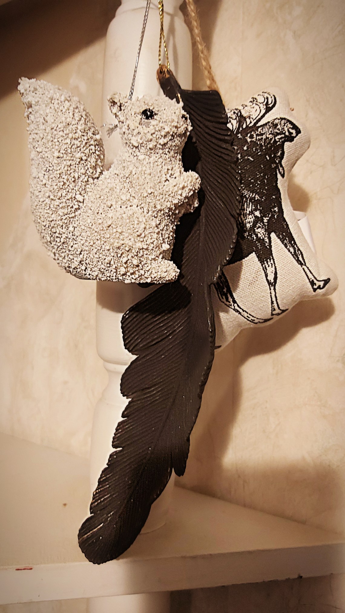 36 squirrel moose angel