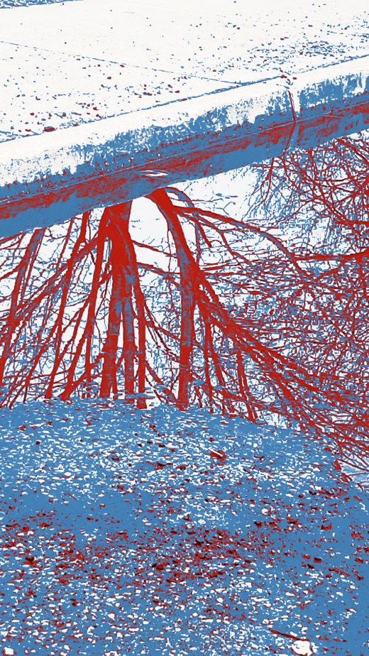 67 warhol reflections