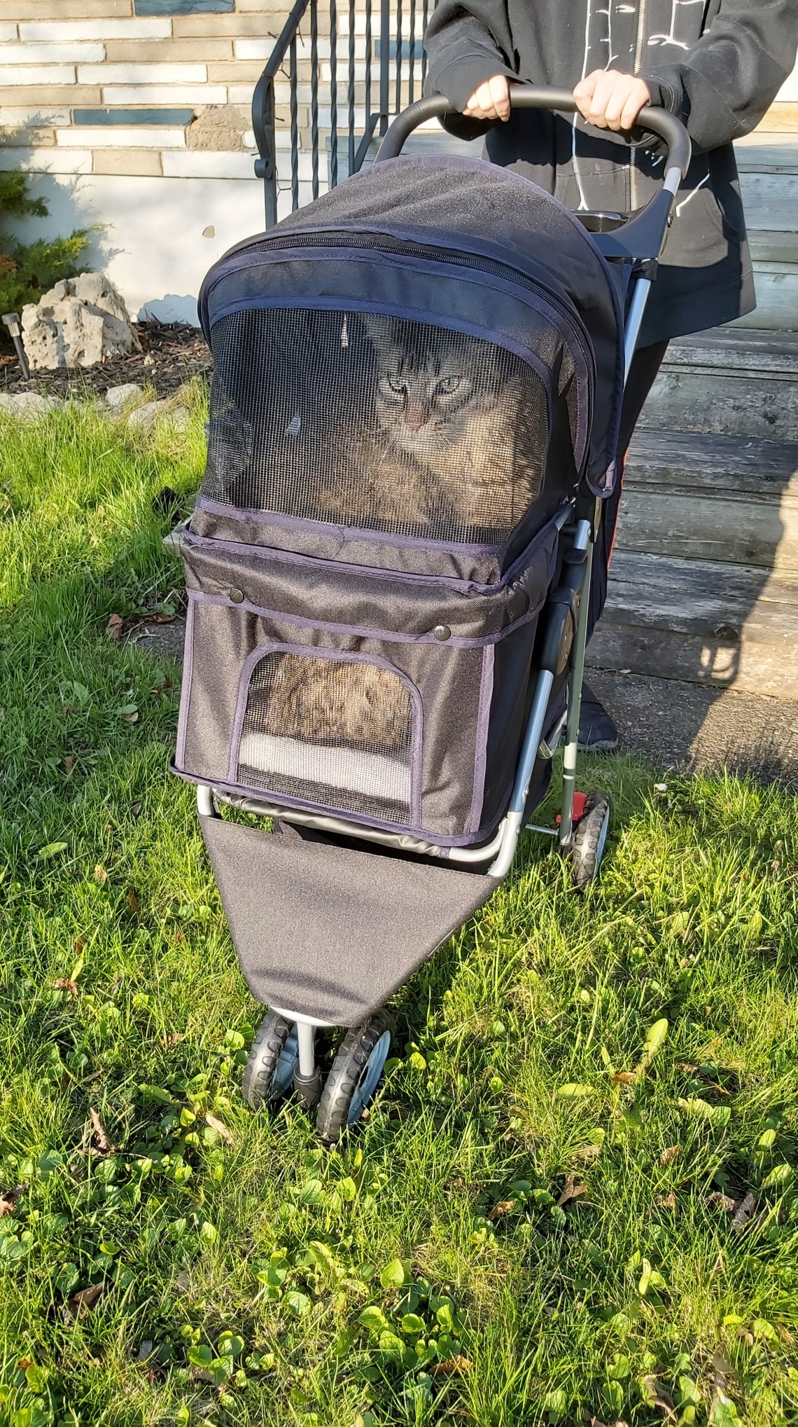 119 cat stroller