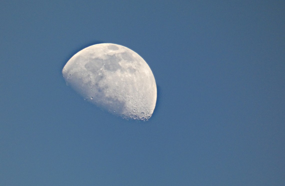 93 evening moon