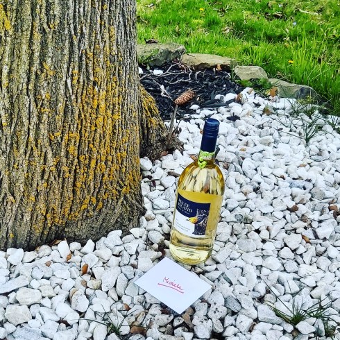 121 social distance presents