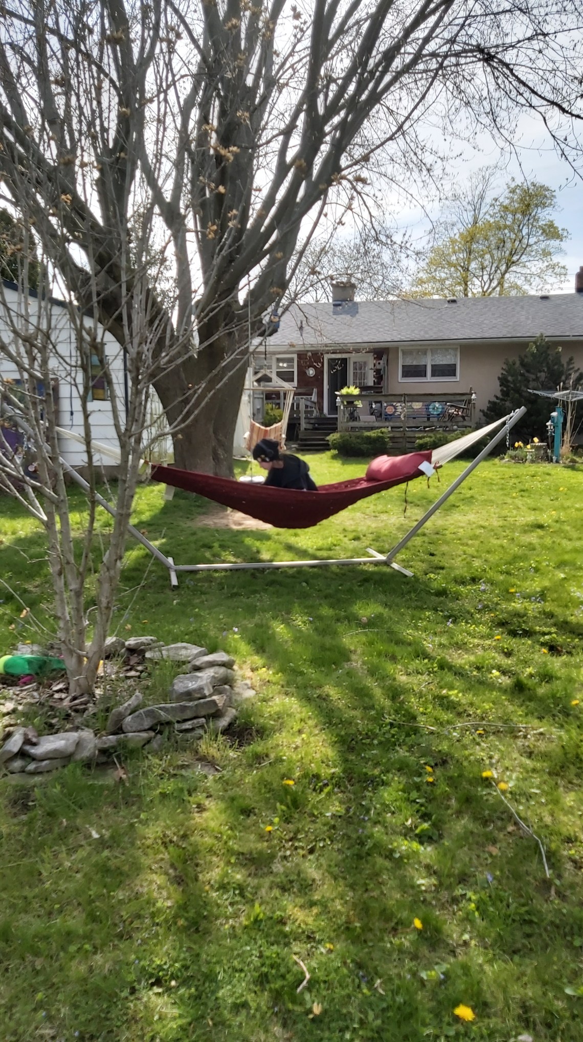135 homework hammock