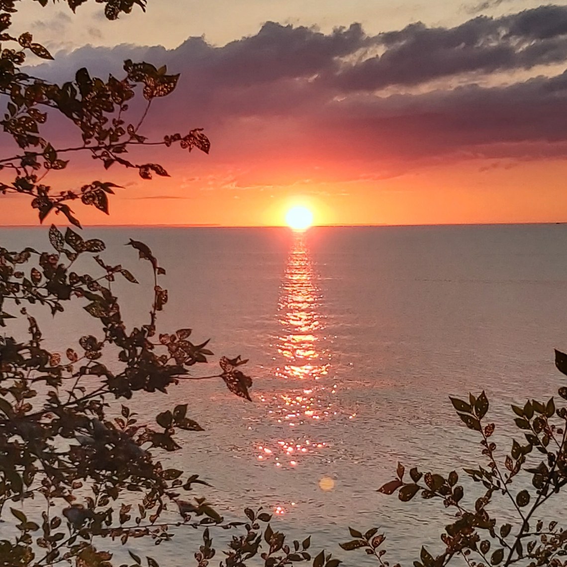 195 lake ontario dressed for summer