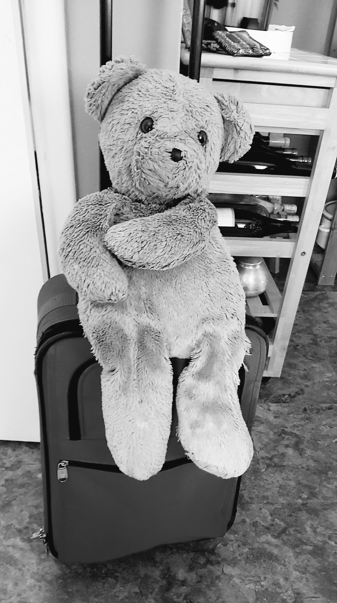 210 travel companion